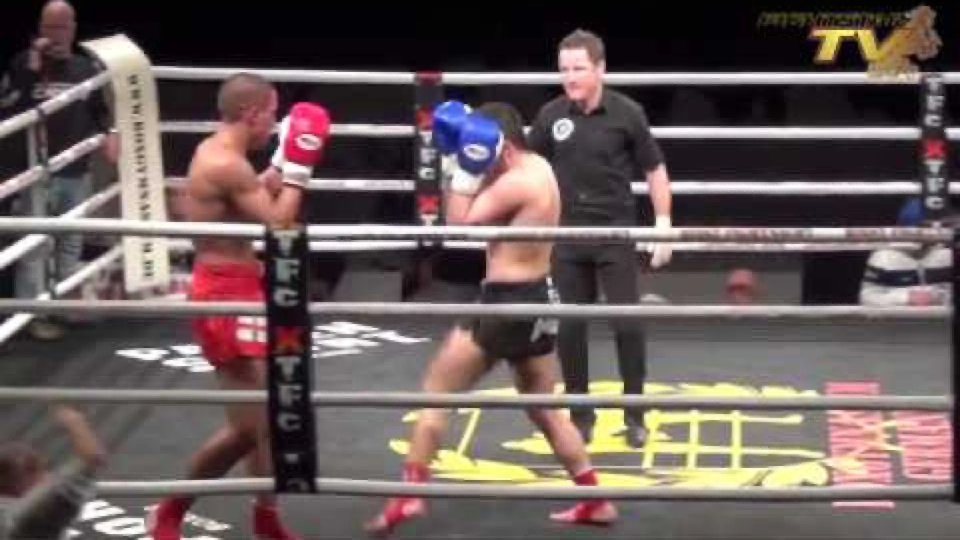 Luke Whelan vs Hasan Kosan (Fight Video)