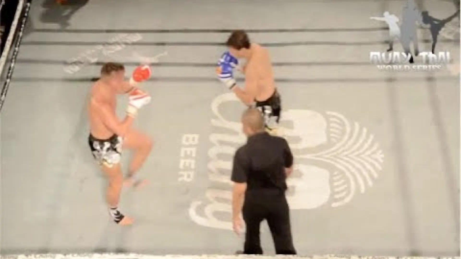 Mo Abdurahman vs Andy Turland (Fight Video)