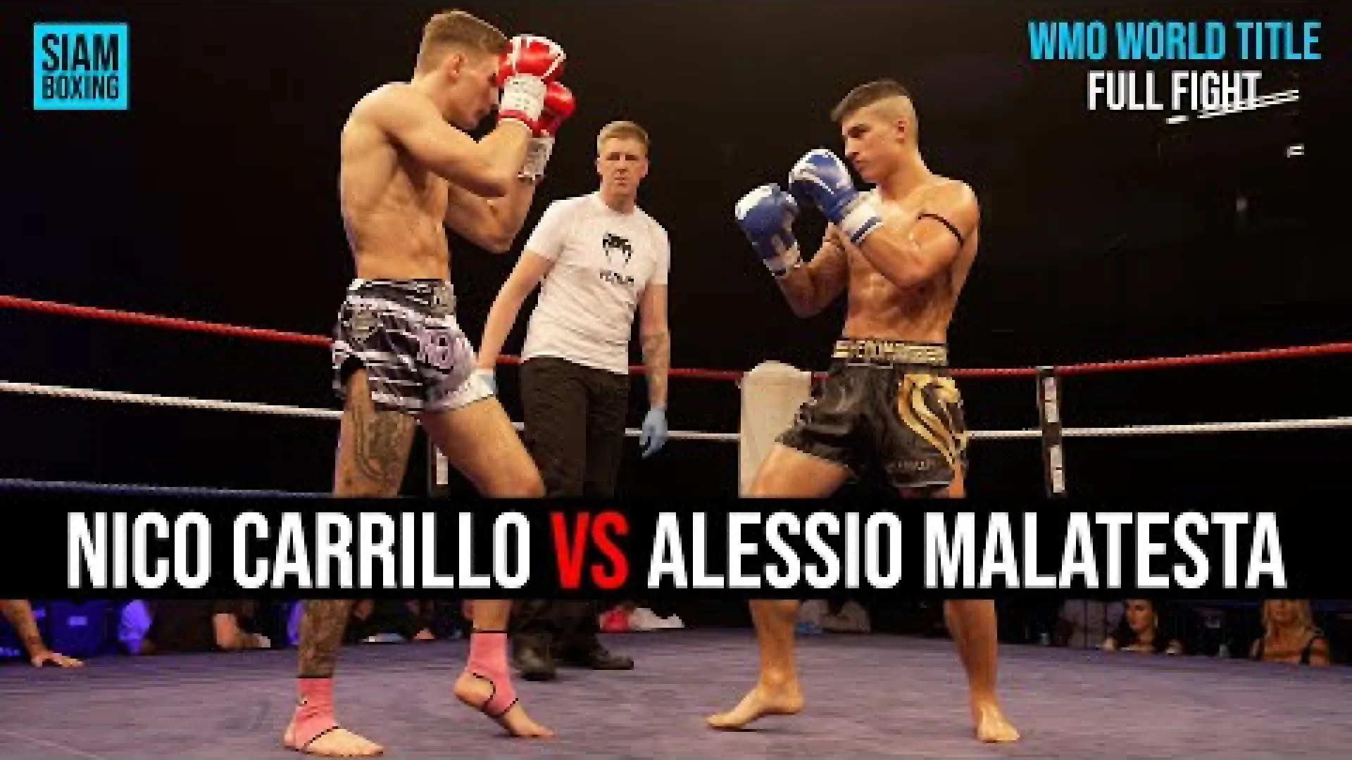 Nico Carrillo vs Alessio Malatesta (Fight Video)