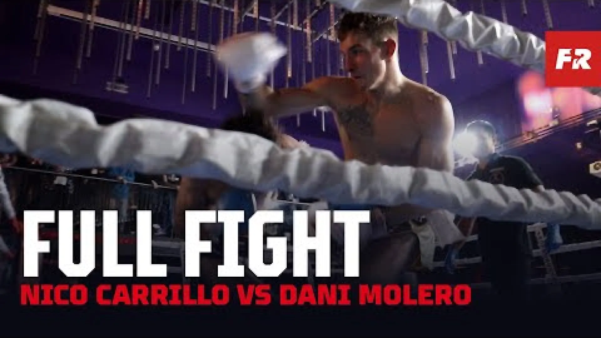 Nico Carrillo vs Dani Molero (Fight Video)