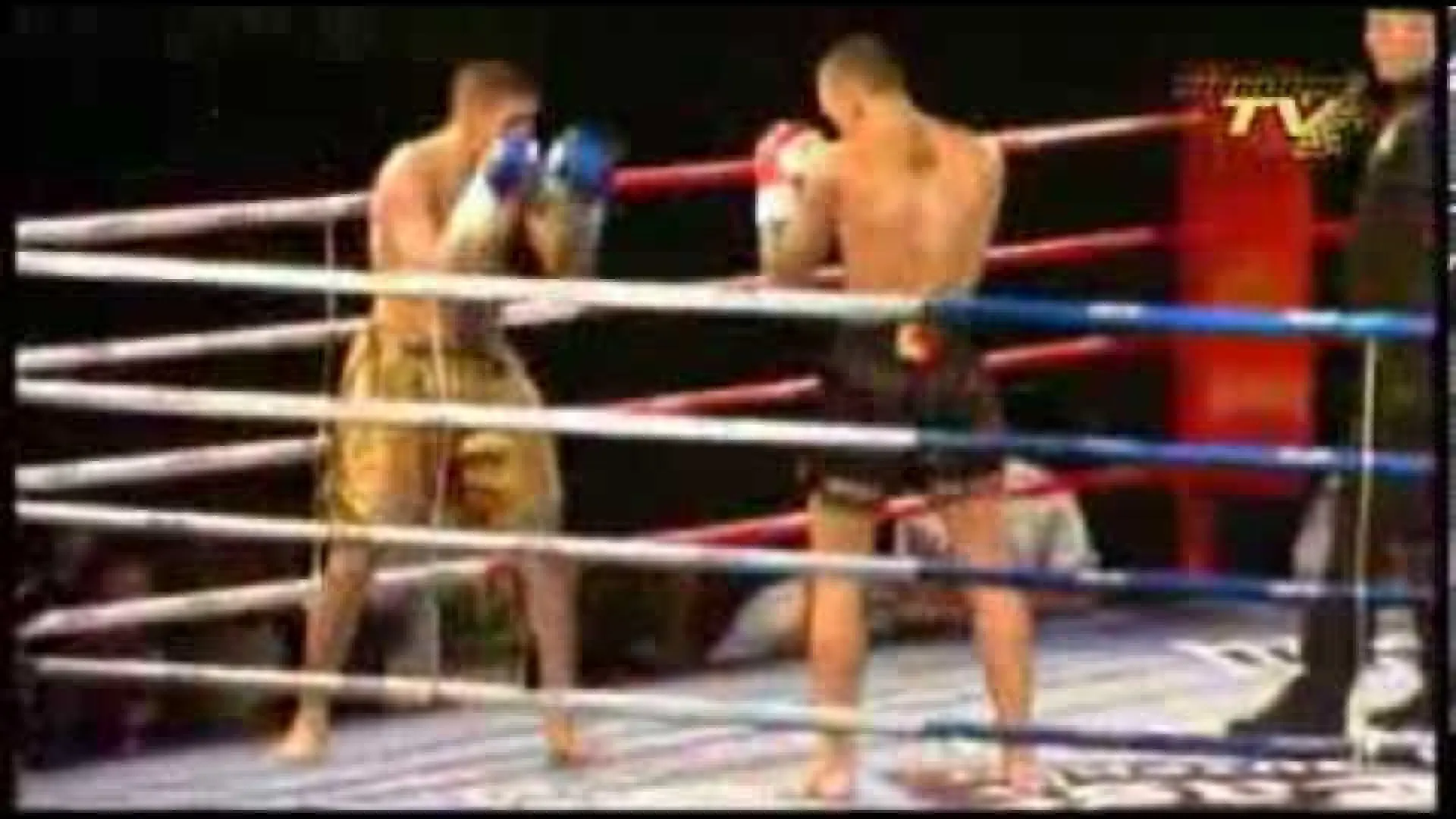 Nieky Holzken vs Mohammed Medhar (Fight Video)