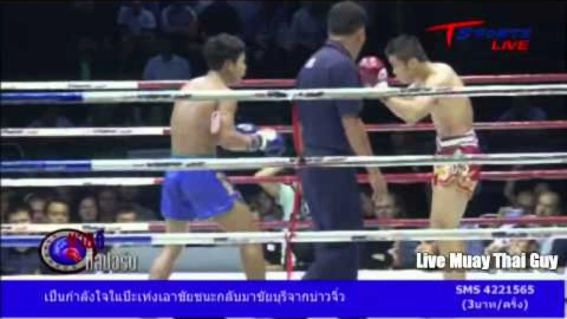 Nong-O Gaiyanghadao vs Petpanomrung Kiatmoo9