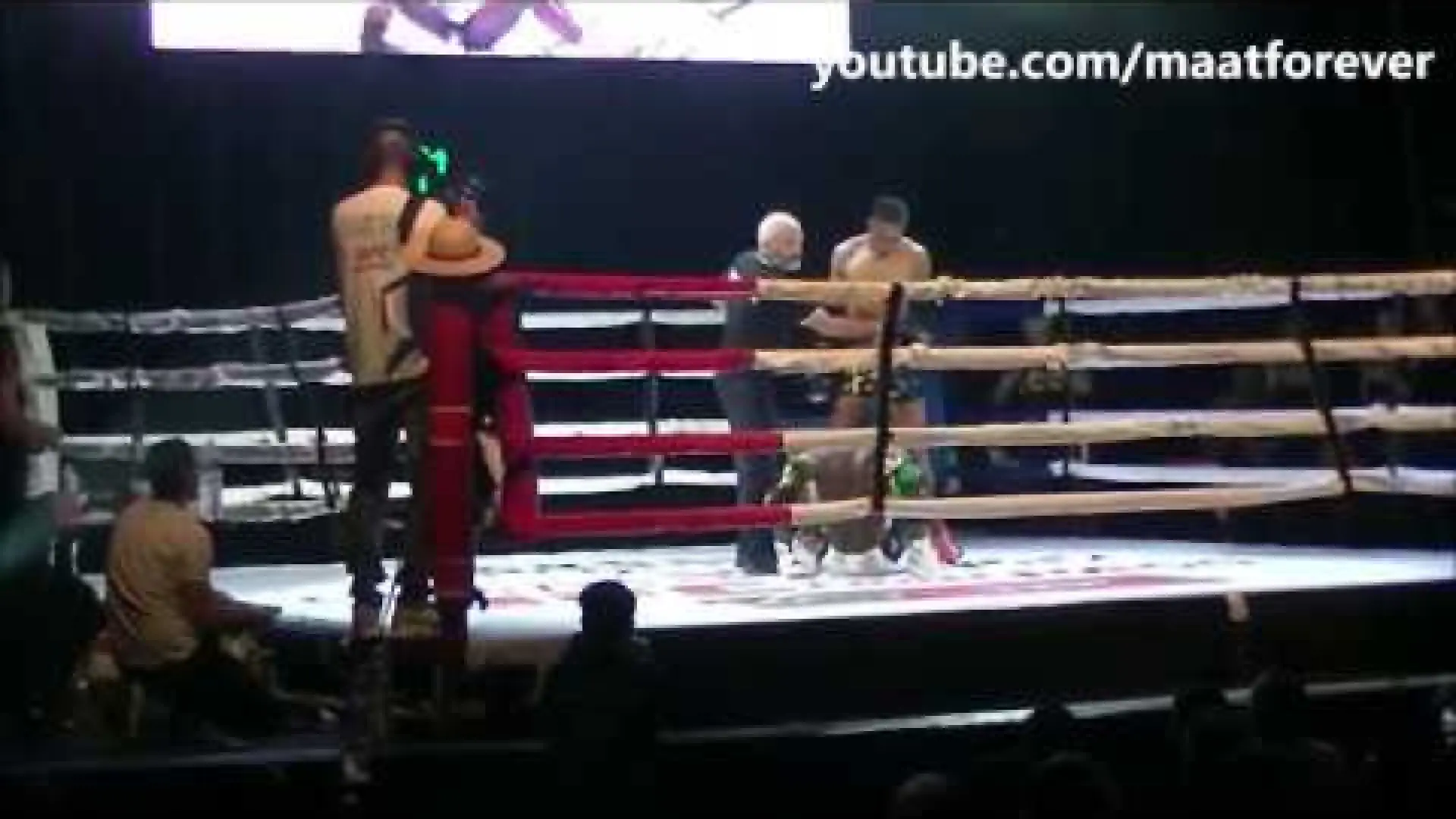 Omar Samb vs Richard Kpadonou (Fight Video)