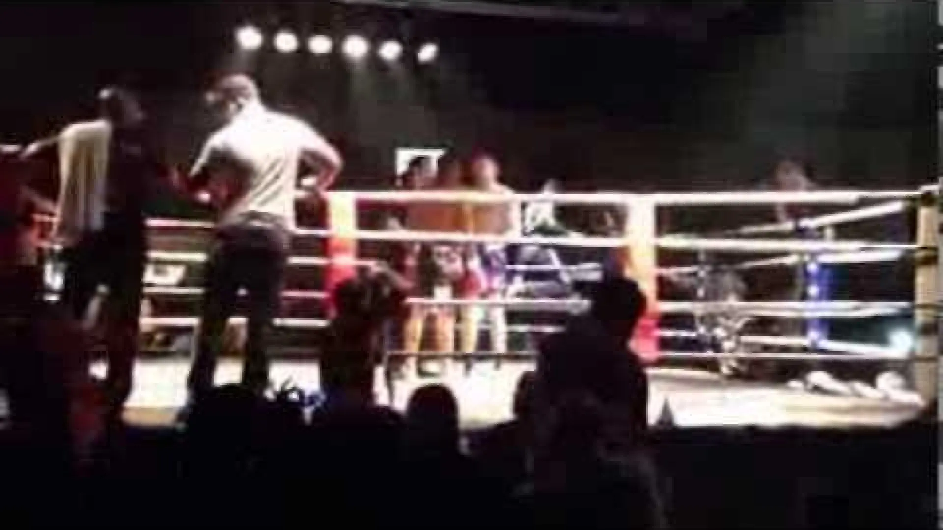 Paul Daley vs Alexander Stetsurenko (Fight Video)