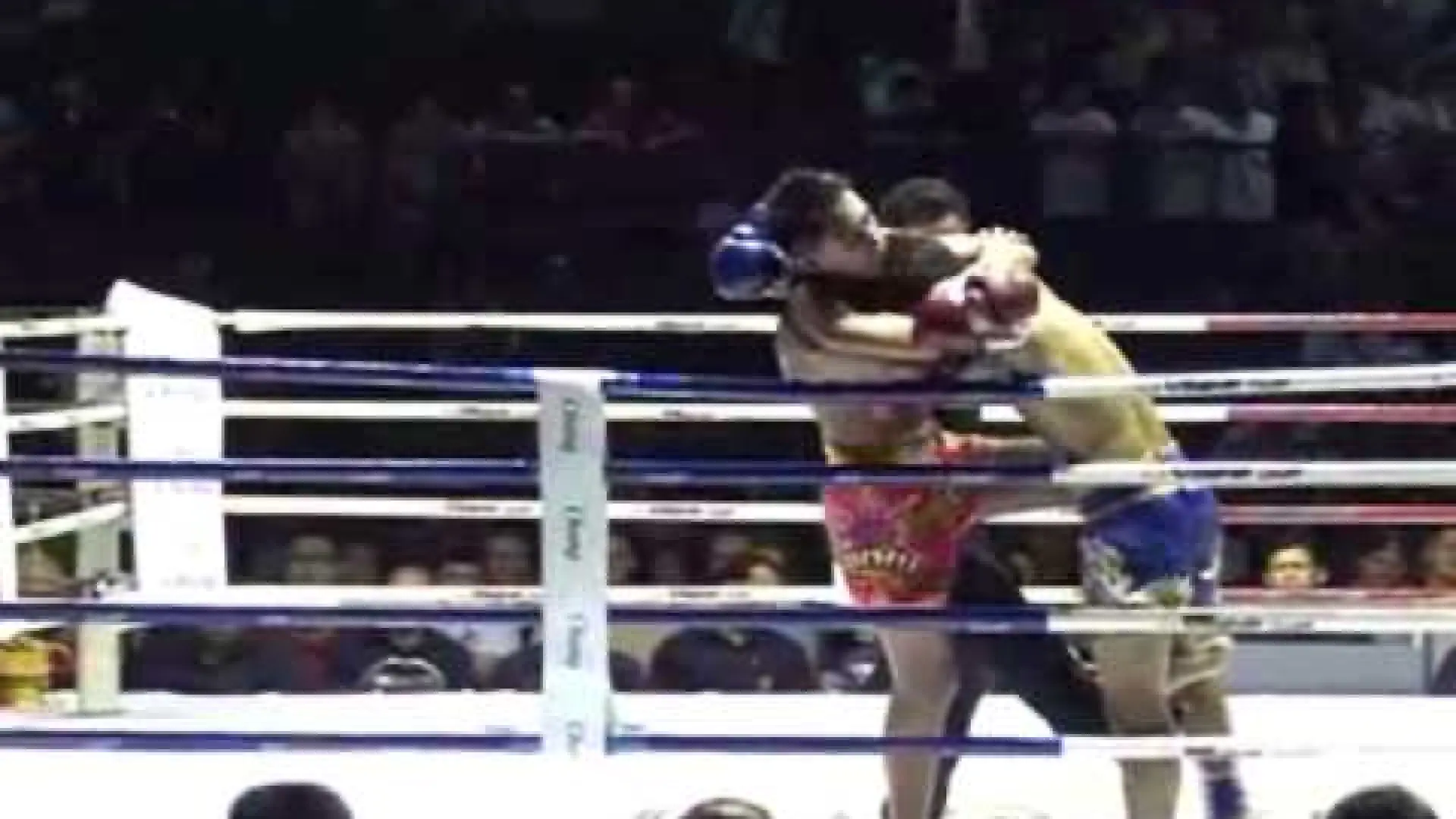 Petchmorakot Petchyindee vs Aikmongkol Gaiyanghadao (Fight Video)