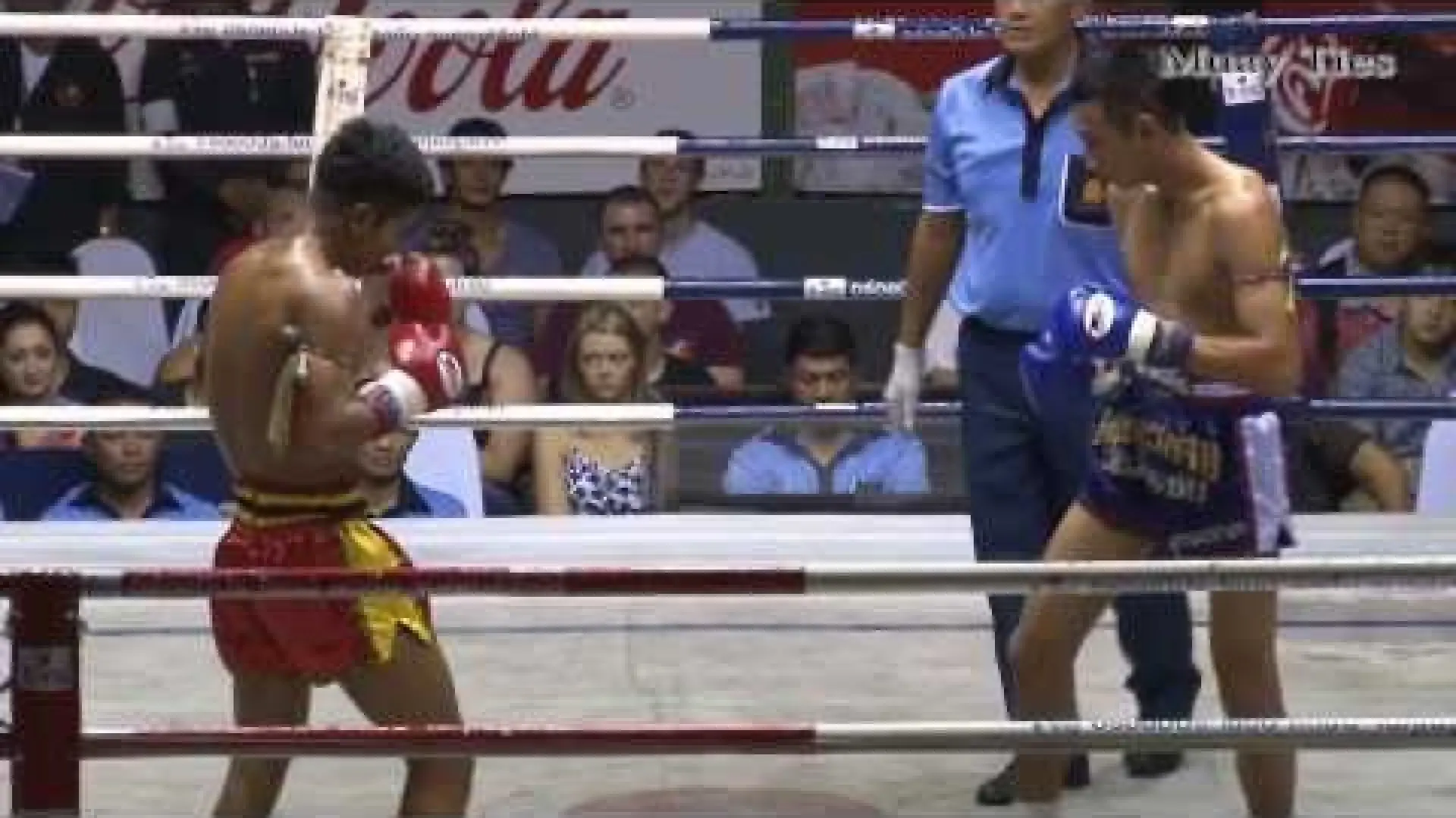 Petchmorakot Petchyindee vs Petpanomrung Kiatmoo9 (Fight Video)