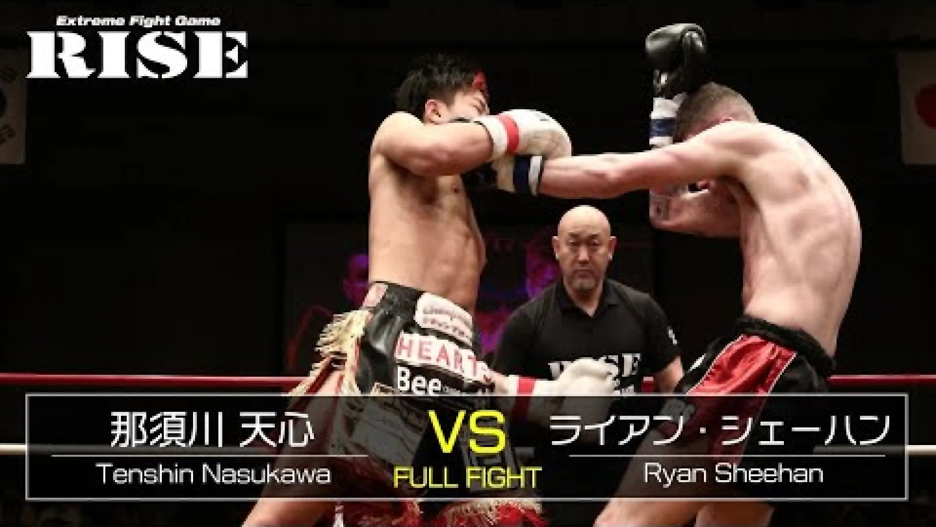 Ryan Sheehan vs Tenshin Nasukawa (Fight Video)