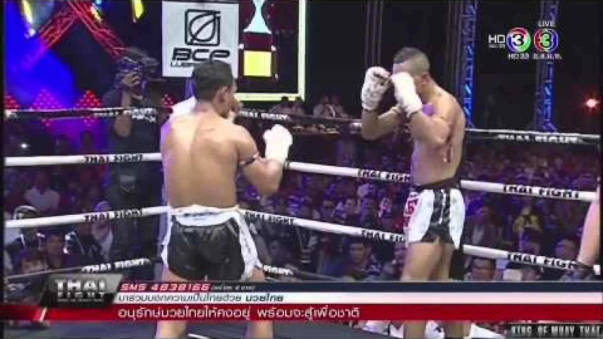 Saenchai PK Saenchai vs Morgan Adrar (Fight Video)