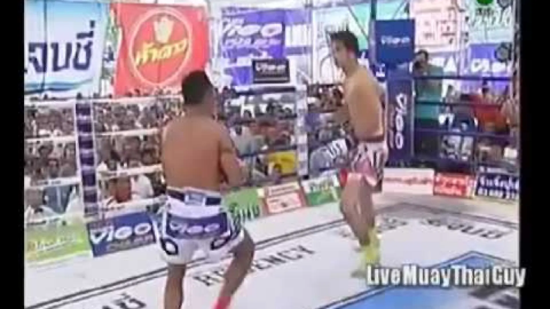 Saenchai PK Saenchai vs Vahid Shahbazi (Fight Video)