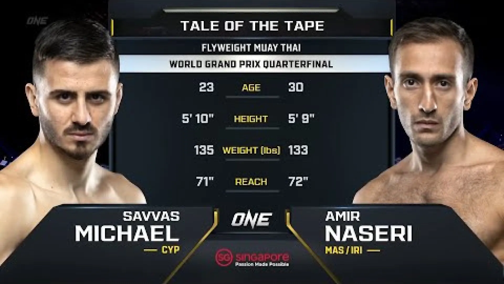 Savvas Michael vs Amir Naseri (Fight Video)