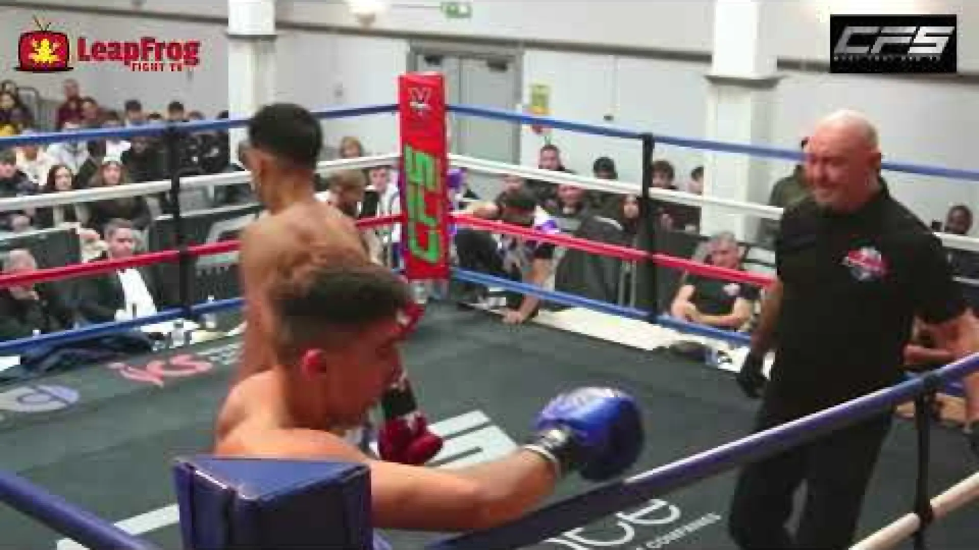 Stefan Lacatus vs Bradley Tully (Fight Video)
