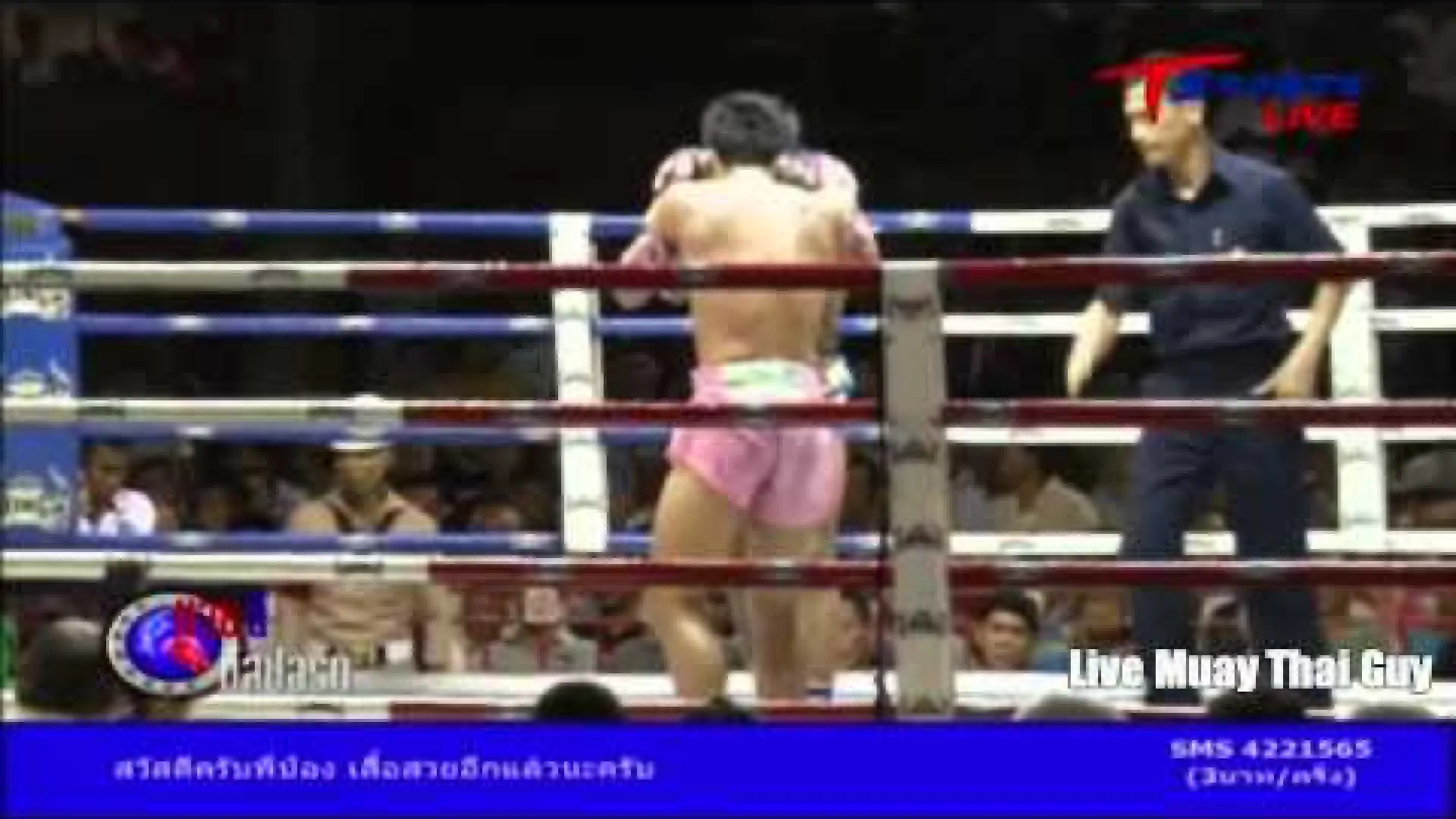 Superlek Kiatmoo9 vs Superbank Sakchaichote (Fight Video)