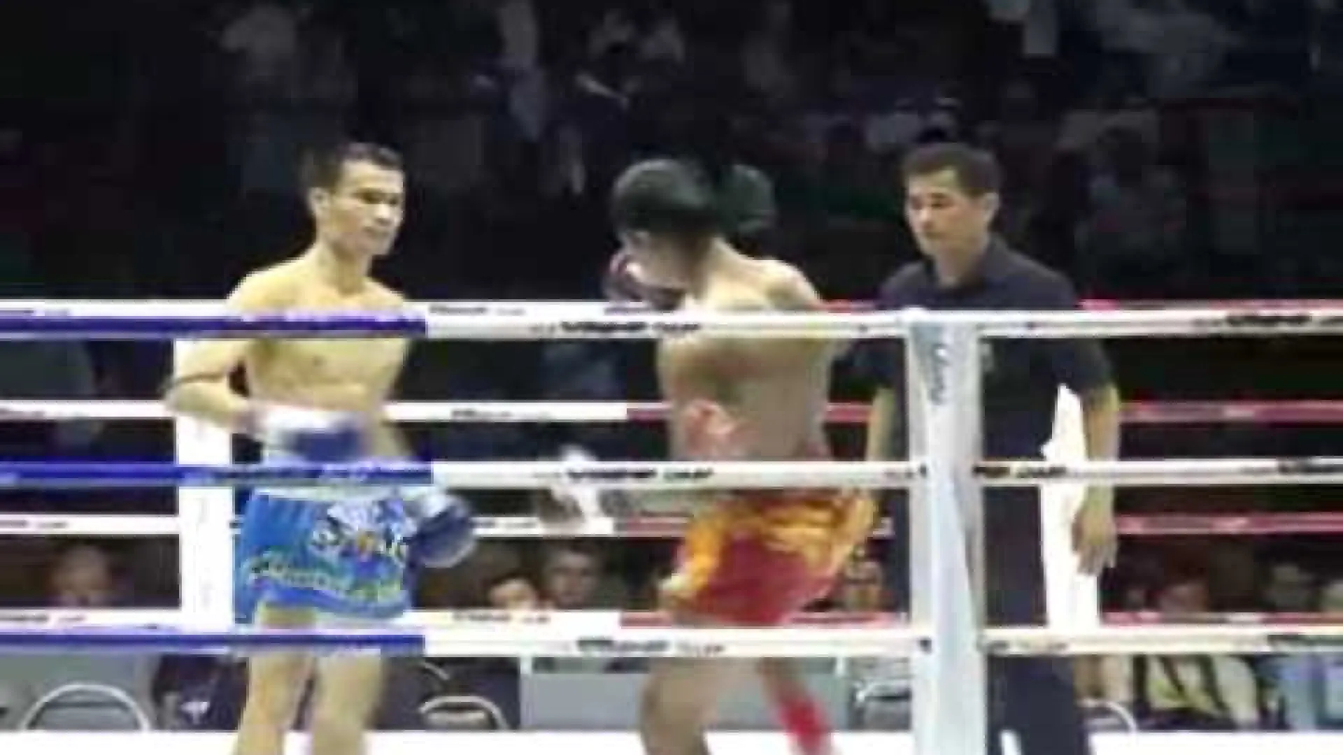 Superlek Kiatmoo9 vs Hongtonglek Chor Farpleansee (Fight Video)