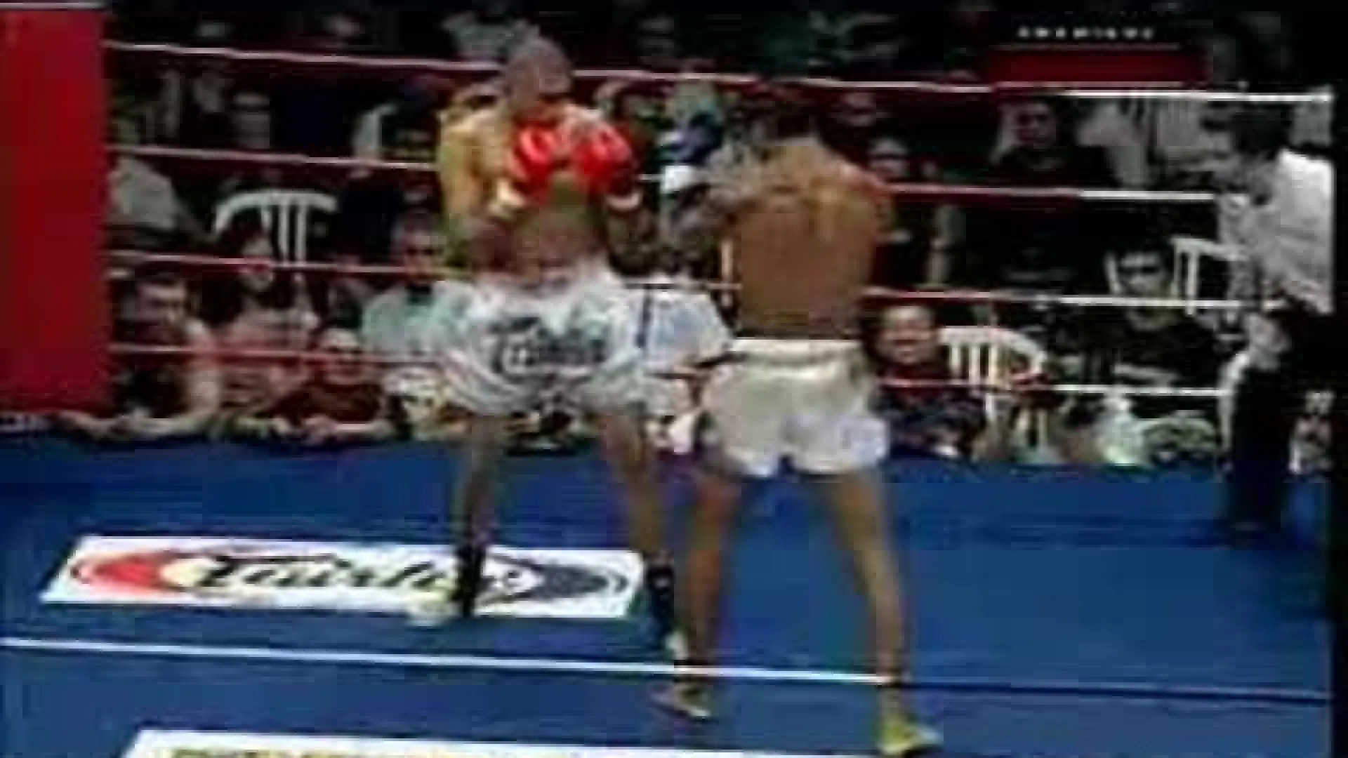Cosmo Alexandre vs Ricardo Soneda (Fight Video)