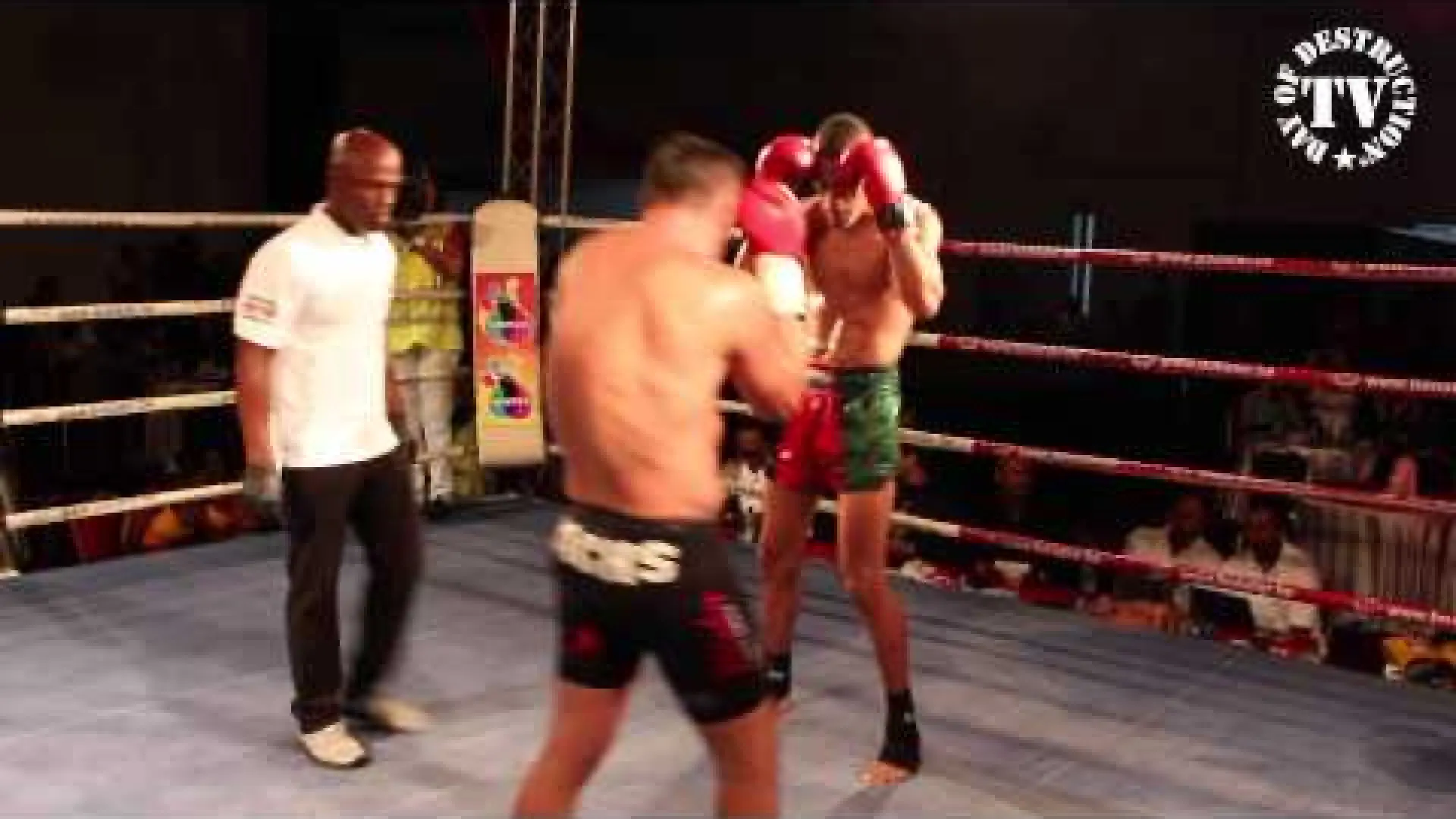 Regian Eersel vs Lorand Sachs (Fight Video)