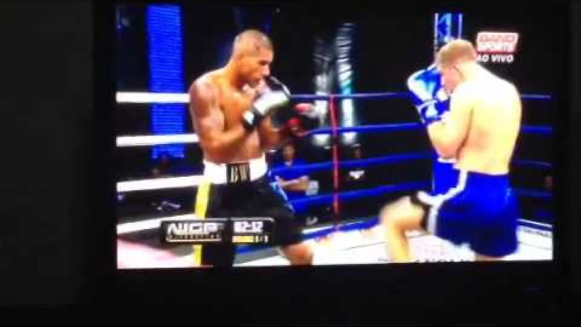 Alex Pereira vs Aleksandr Dmitrenko (Fight Video)