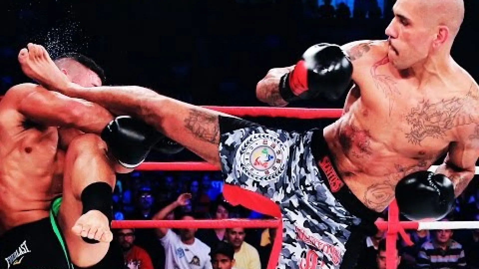 Alex Pereira vs Junior Alpha (Fight Video)