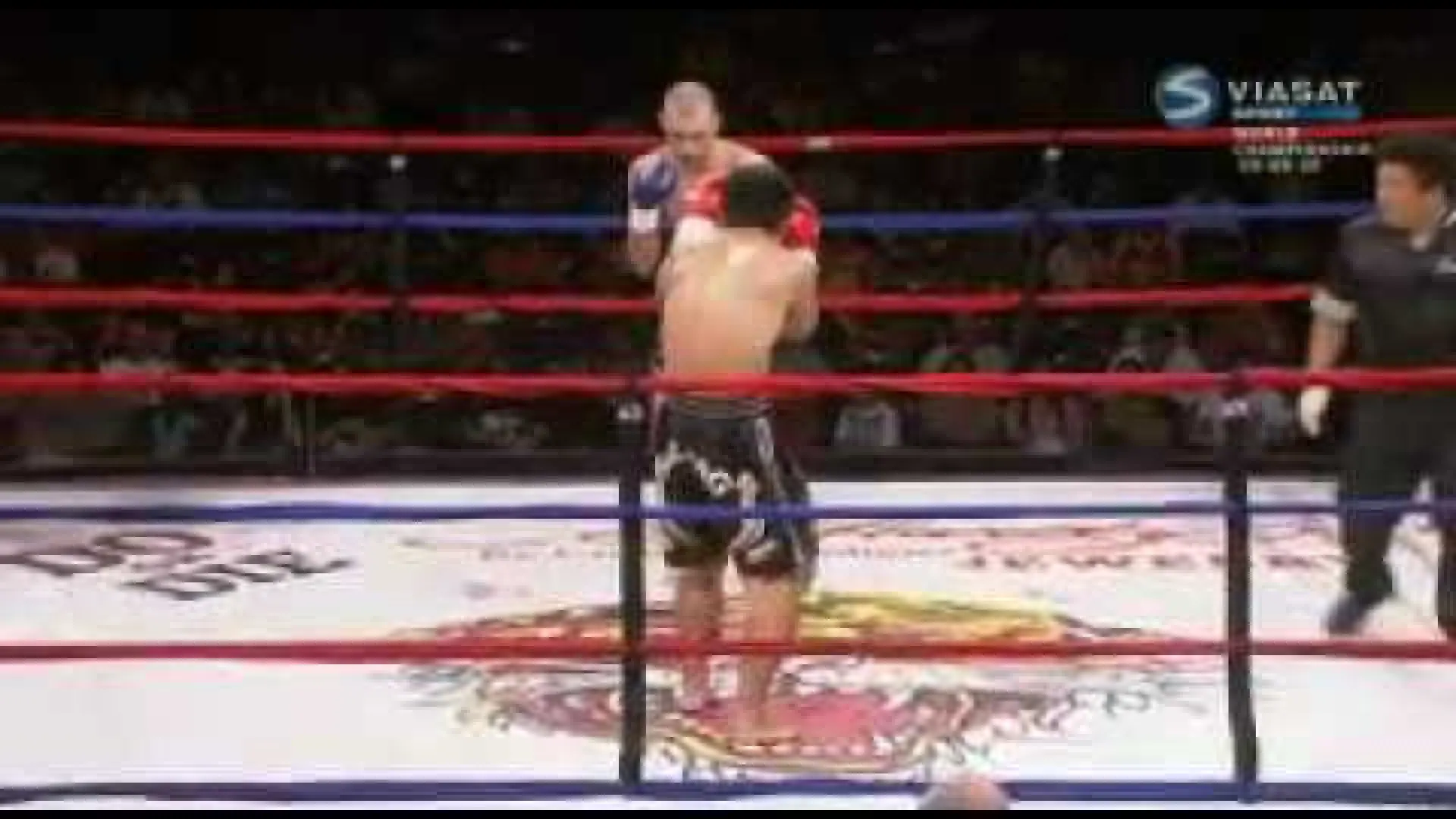Joe Schilling vs Wang Hong Xiang (Fight Video)