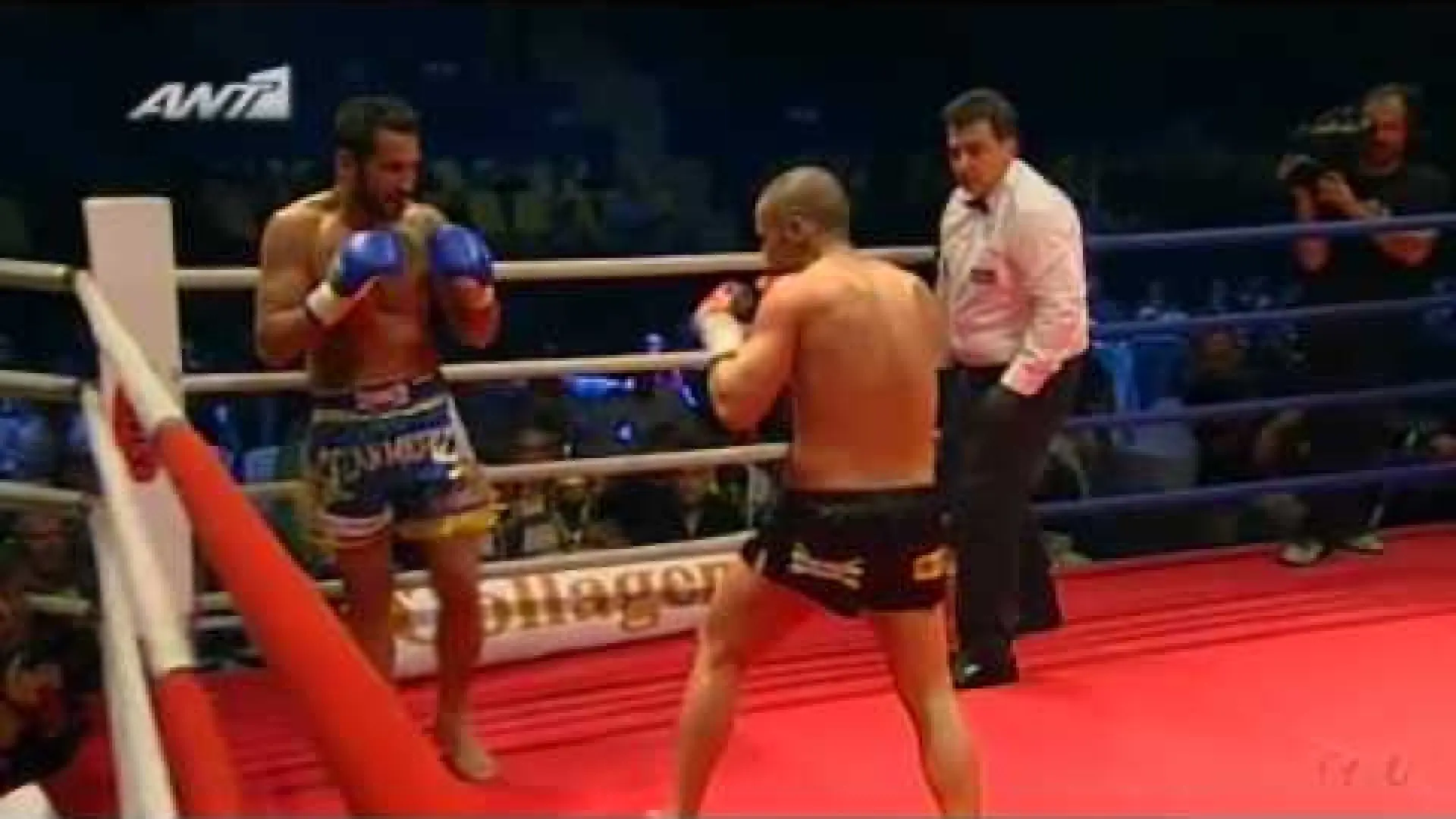 Mike Zambidis vs Fadi Merza (Fight Video)