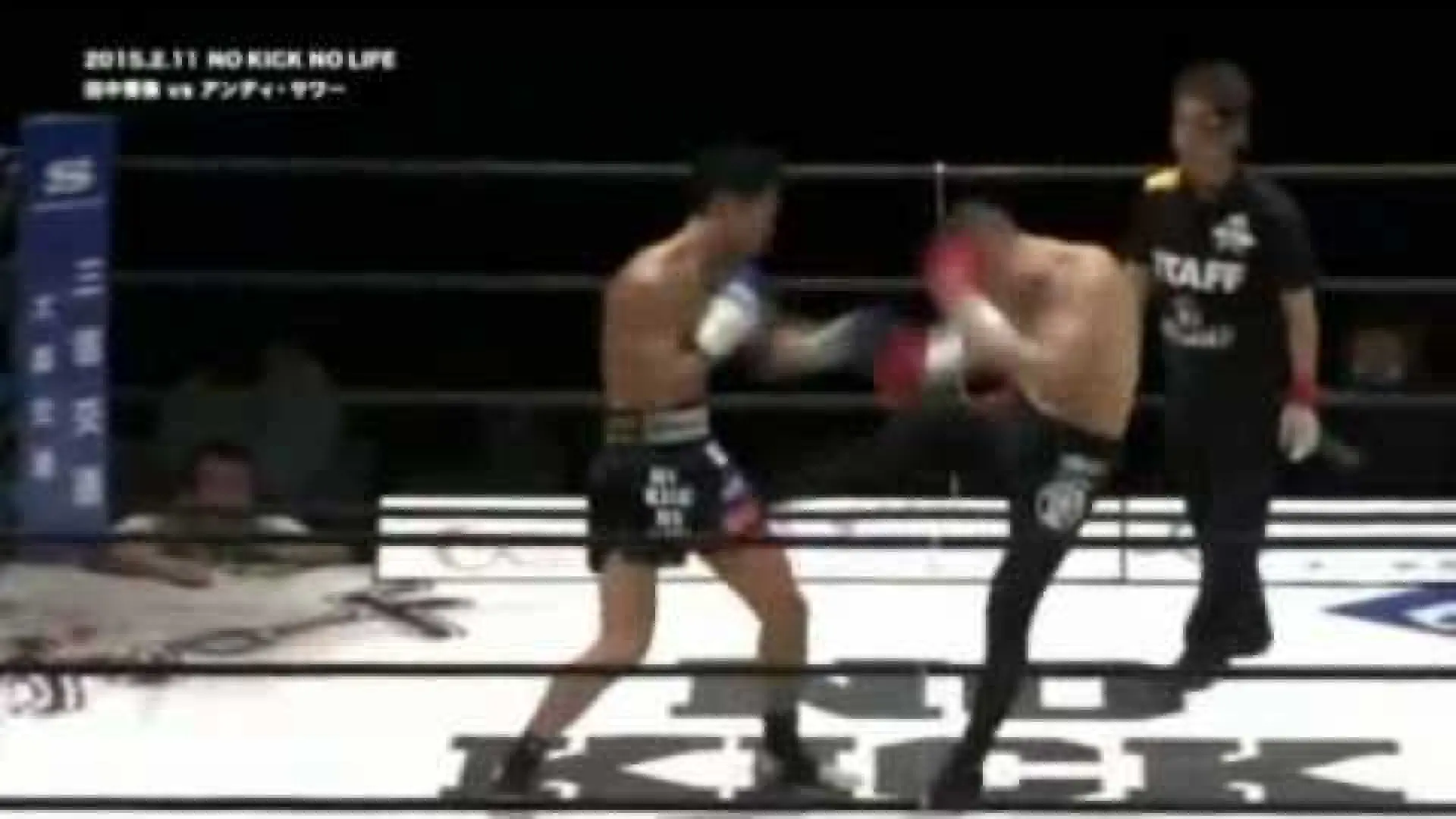 Andy Souwer vs Hideya Tanaka (Fight Video)