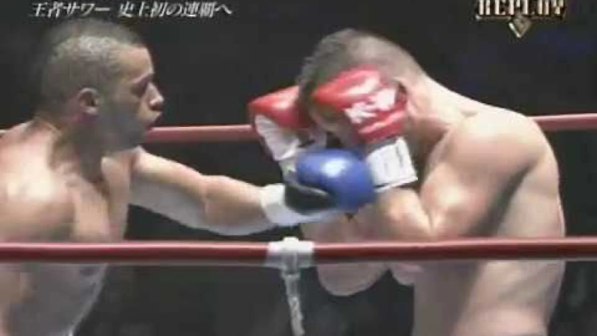Andy Souwer vs Warren Stevelmans (Fight Video)