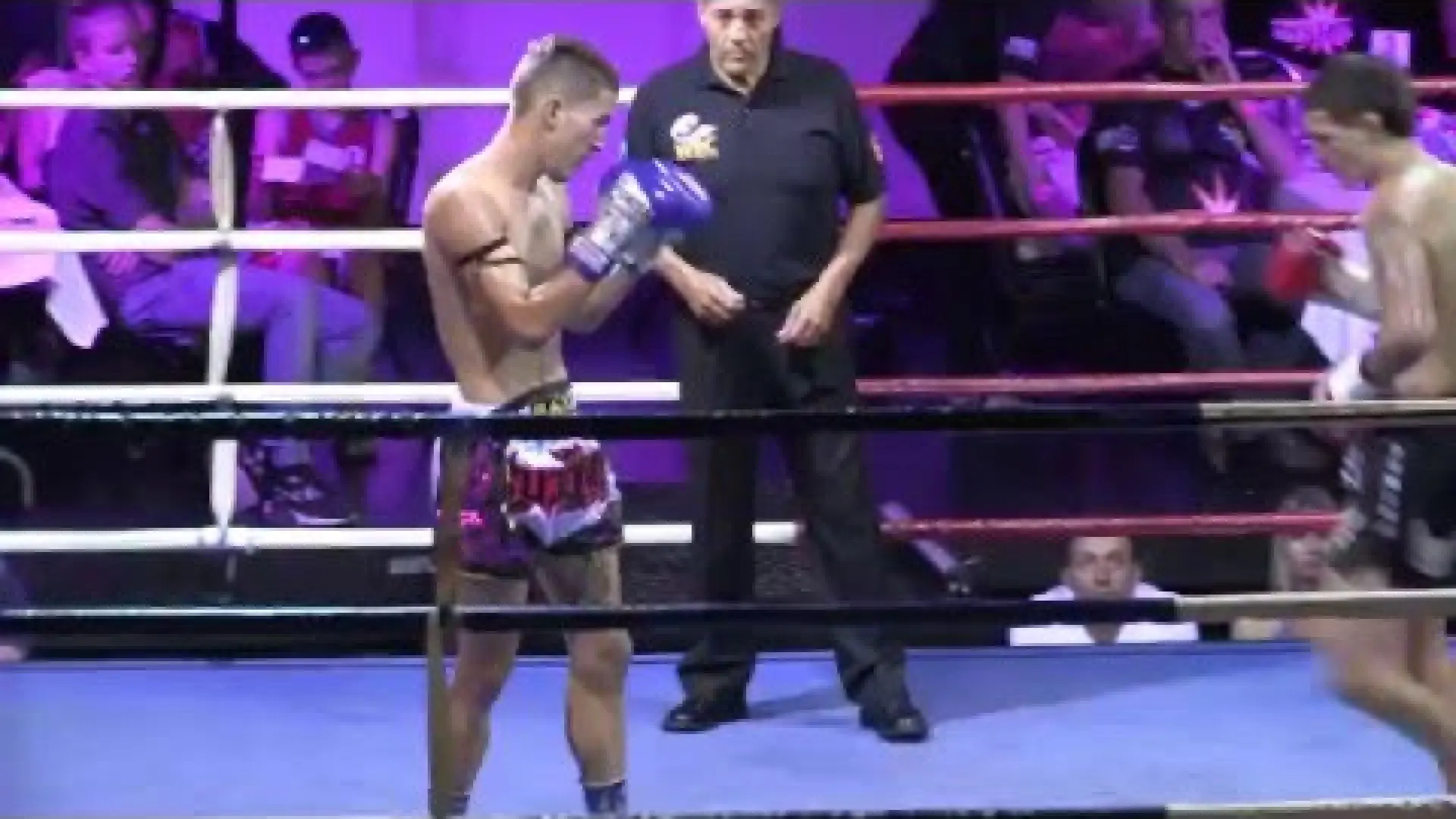 Chadd Collins vs Kurtis Staiti (Fight Video)