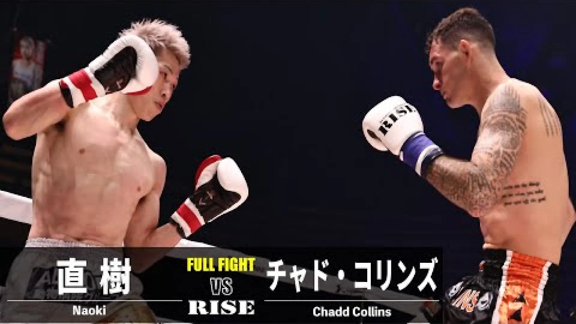 Chadd Collins vs Naoki Tanaka (Fight Video)