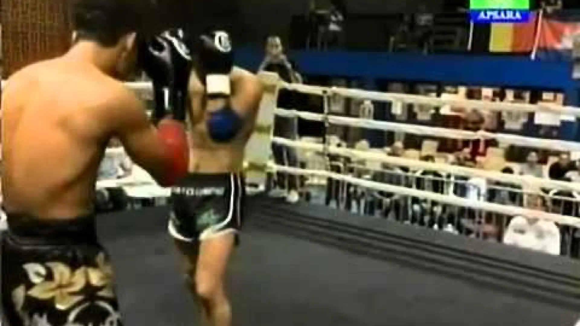 Tayfun Ozcan vs Sen Bunthen (Fight Video)
