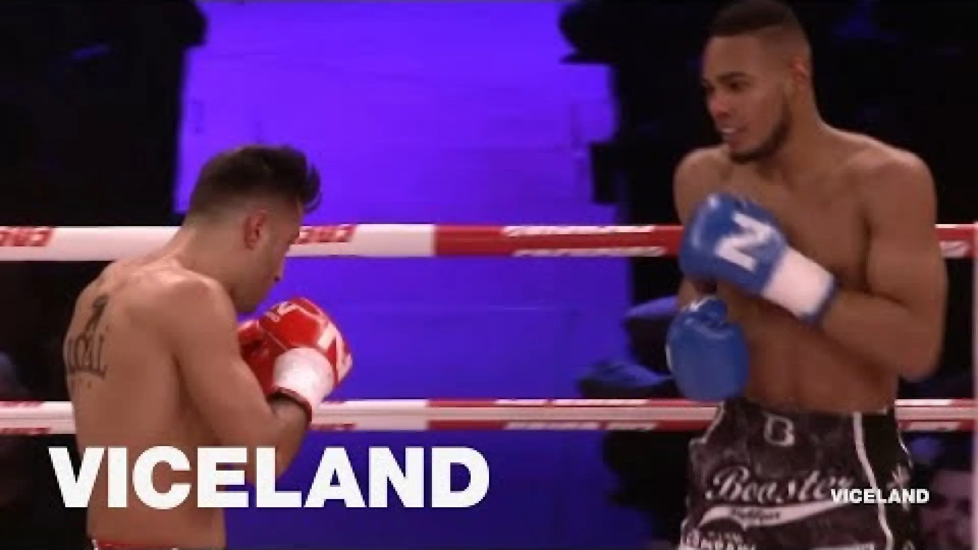 Tayfun Ozcan vs Endy Semeleer (Fight Video)