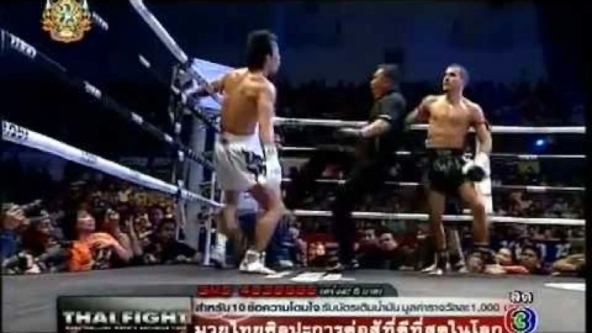 Fabio Pinca vs Yokoyama Shigeyuki (Fight Video)