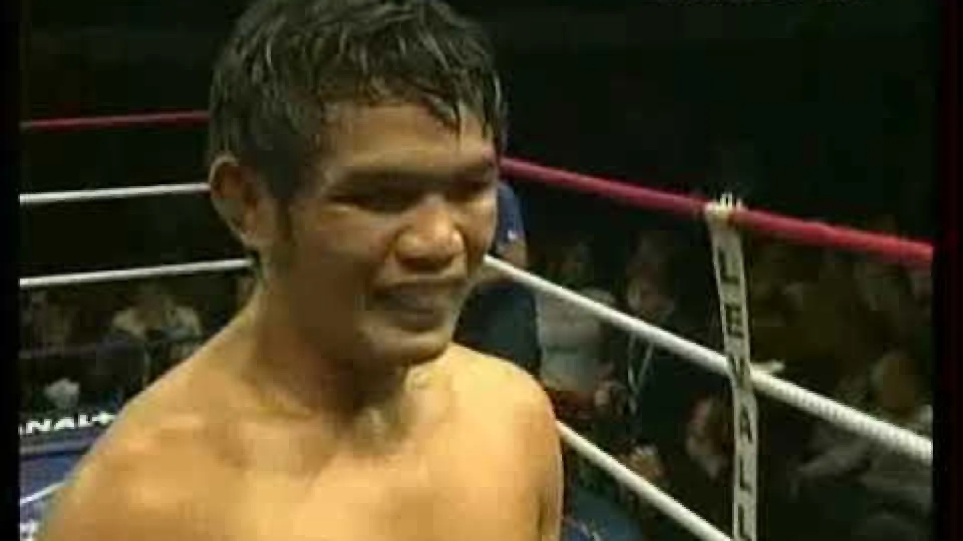 Fabio Pinca vs Attachai Fairtex (Fight Video)