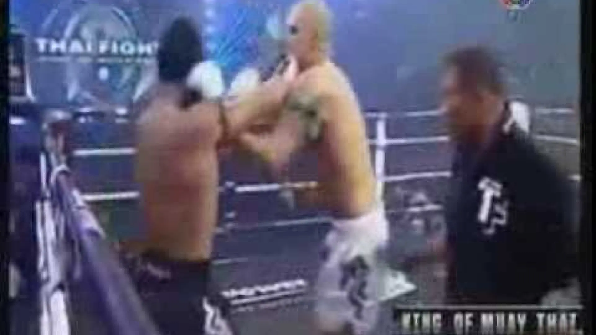 Samy Sana vs Yodsanklai Fairtex (Fight Video)