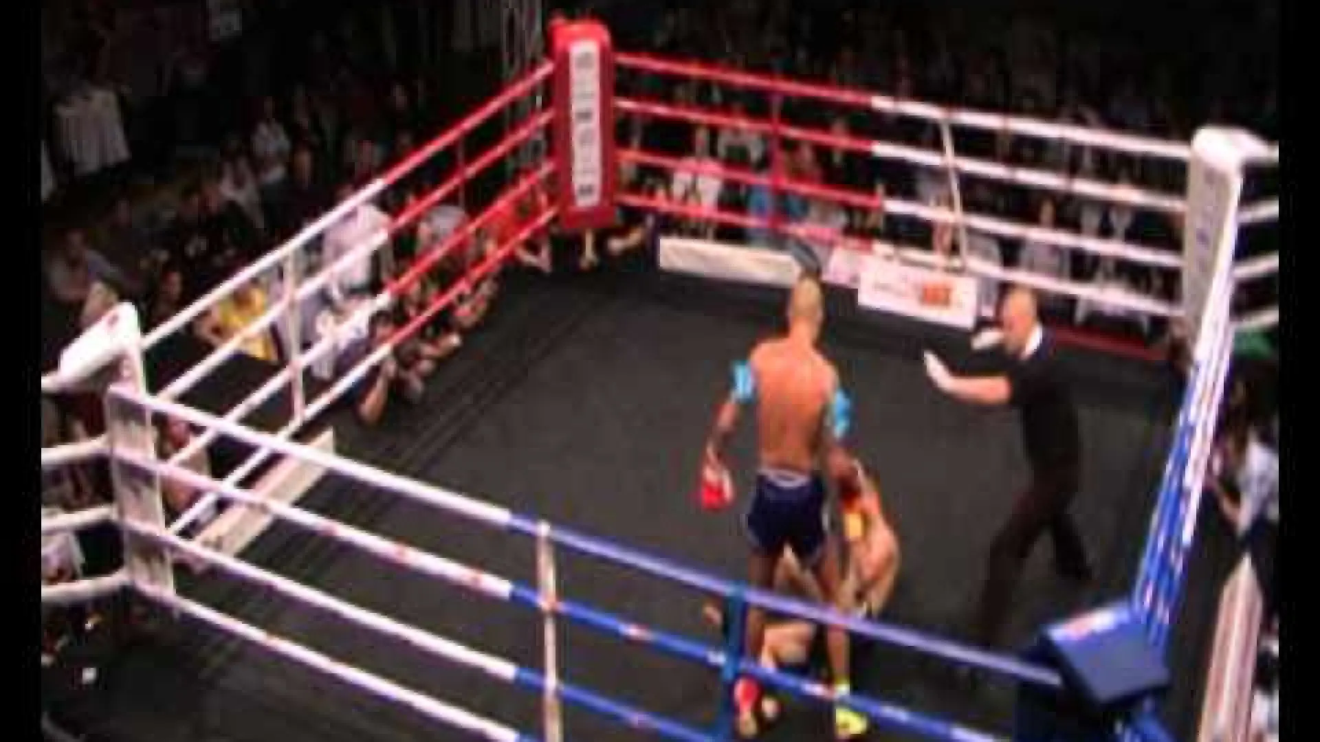 Samy Sana vs Michal Krcmar (Fight Video)