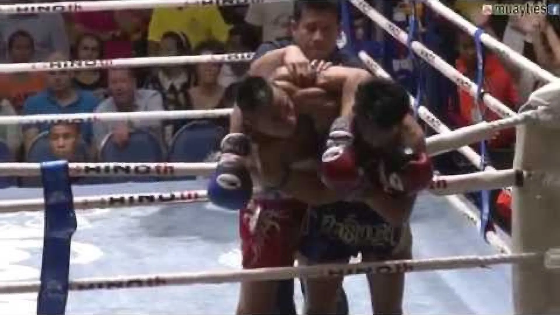 Yodwicha Banchamek vs Rittewada Petchyindee (Fight Video)