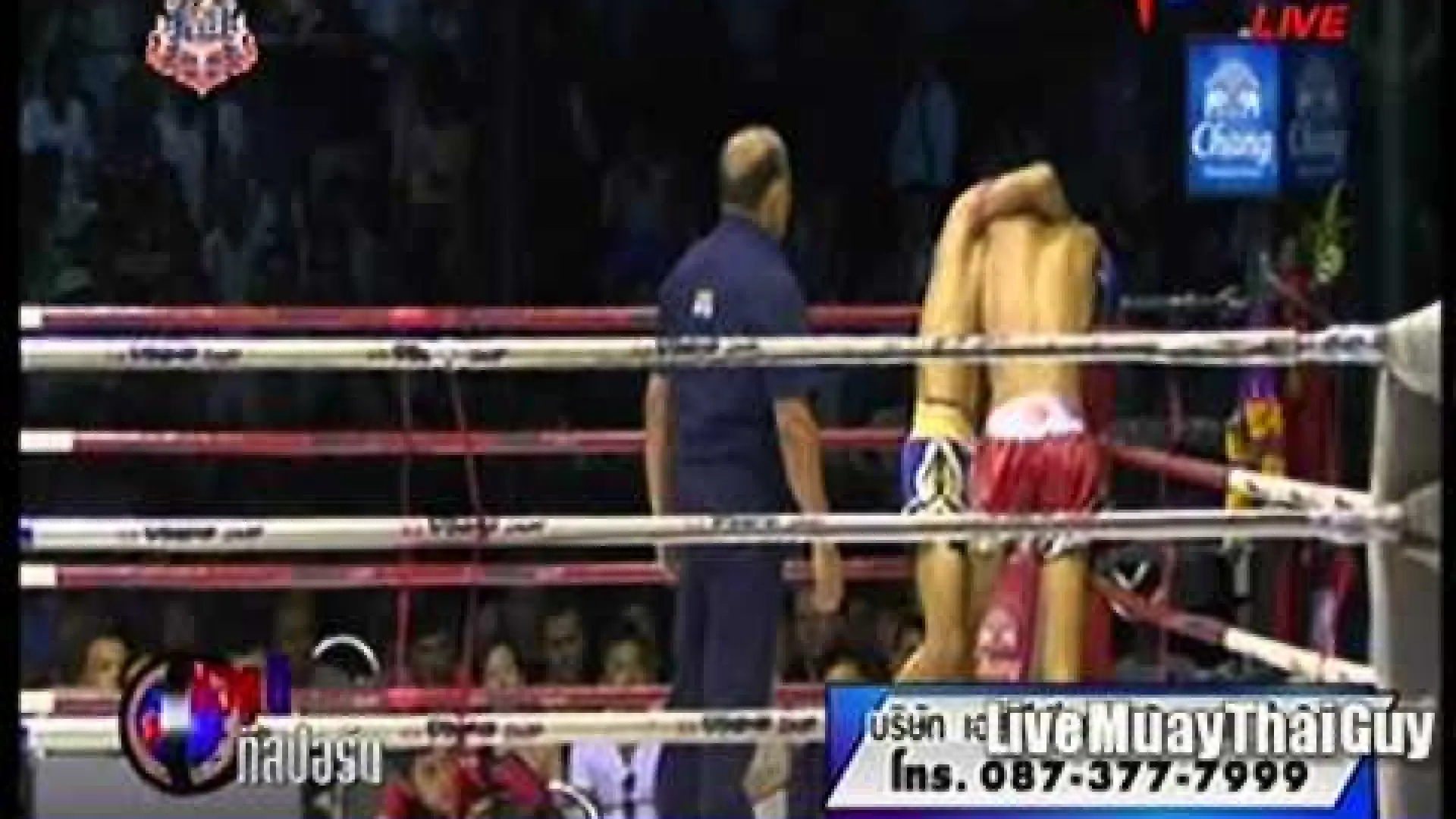 Yodwicha Banchamek vs Wanchalerm Uddonmuang (Fight Video)