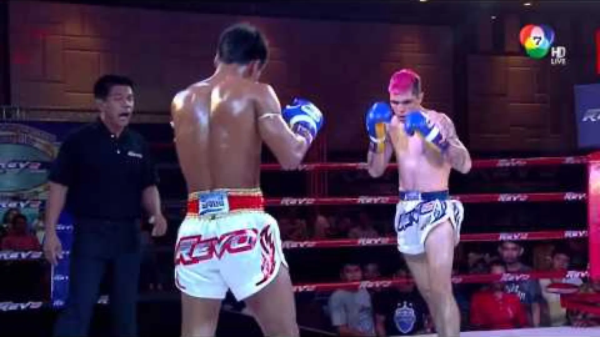 Petpanomrung Kiatmoo9 vs Hector Tournier (Fight Video)