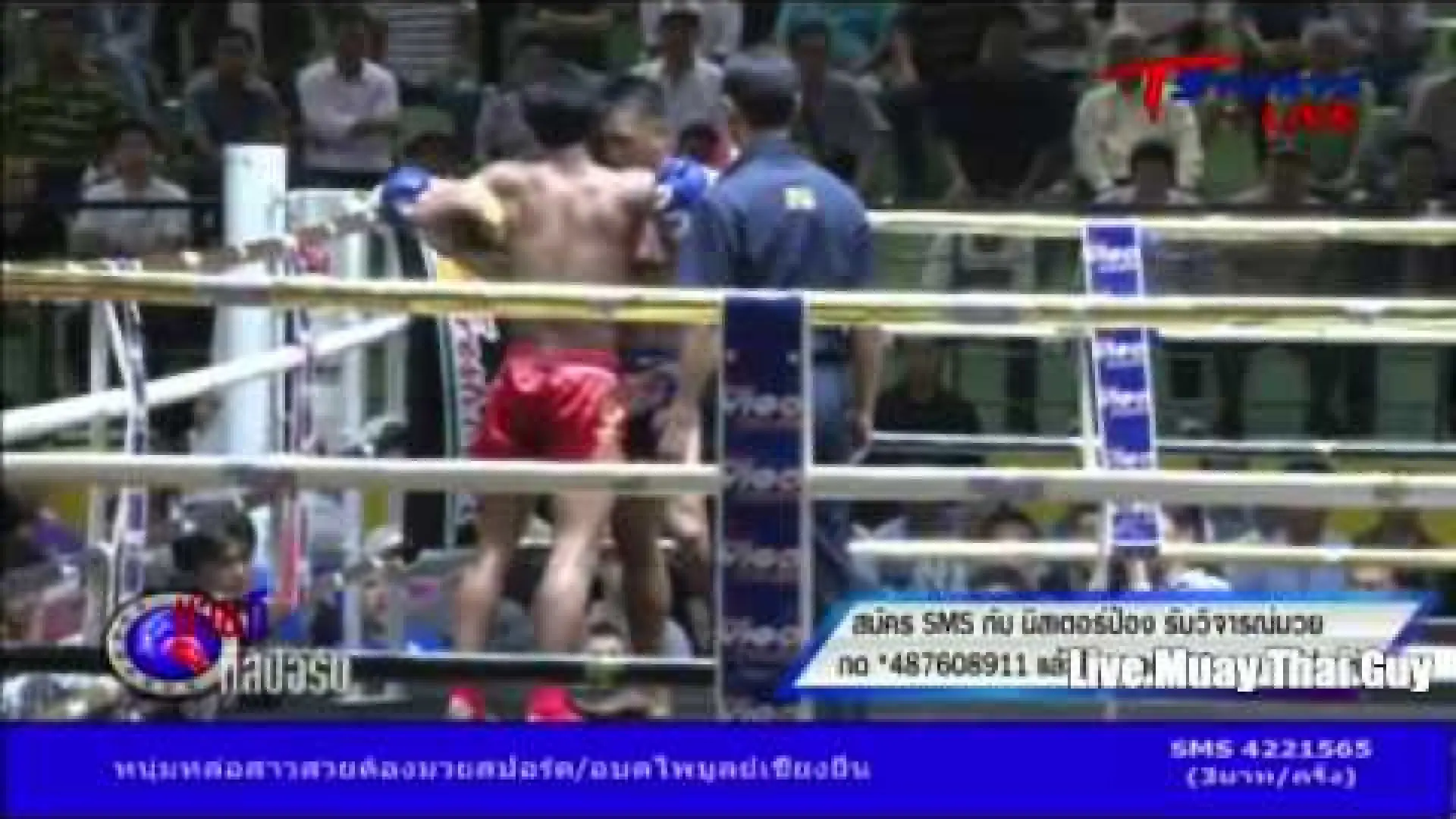 Petpanomrung Kiatmoo9 vs Singtongnoi Por Telakun (Fight Video)