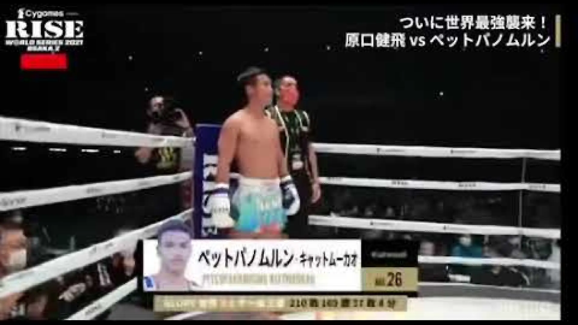 Petpanomrung Kiatmoo9 vs Kento Haraguchi (Fight Video)