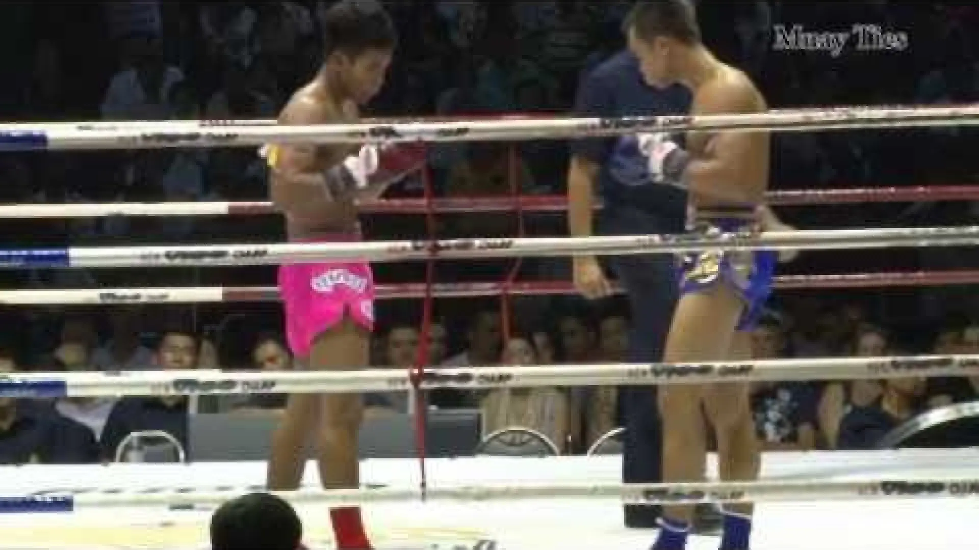 Petpanomrung Kiatmoo9 vs Kaimukkao Petchyindee (Fight Video)