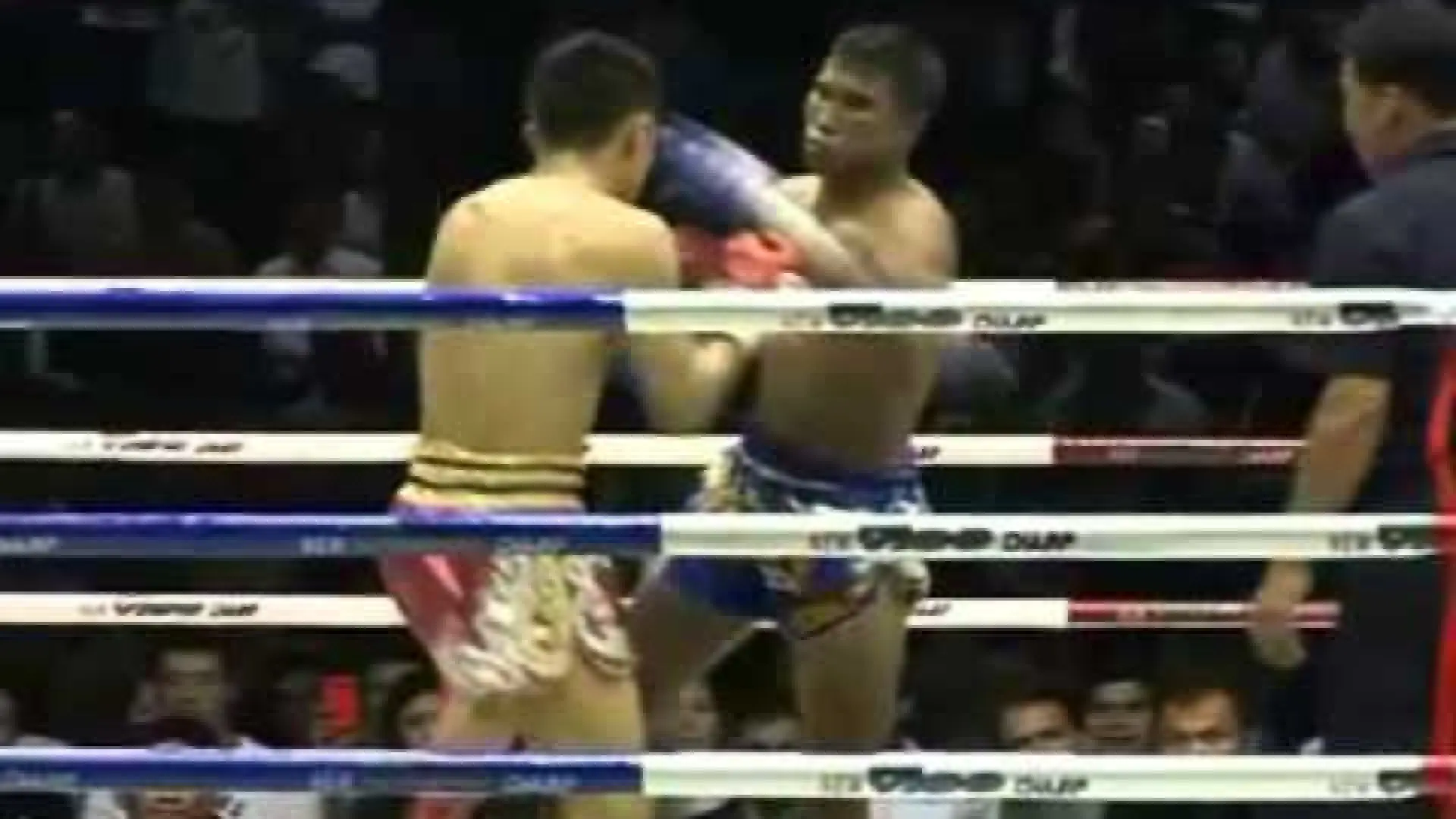 Singdam Kiatmoo9 vs Sagetdao Petpayathai (Fight Video)