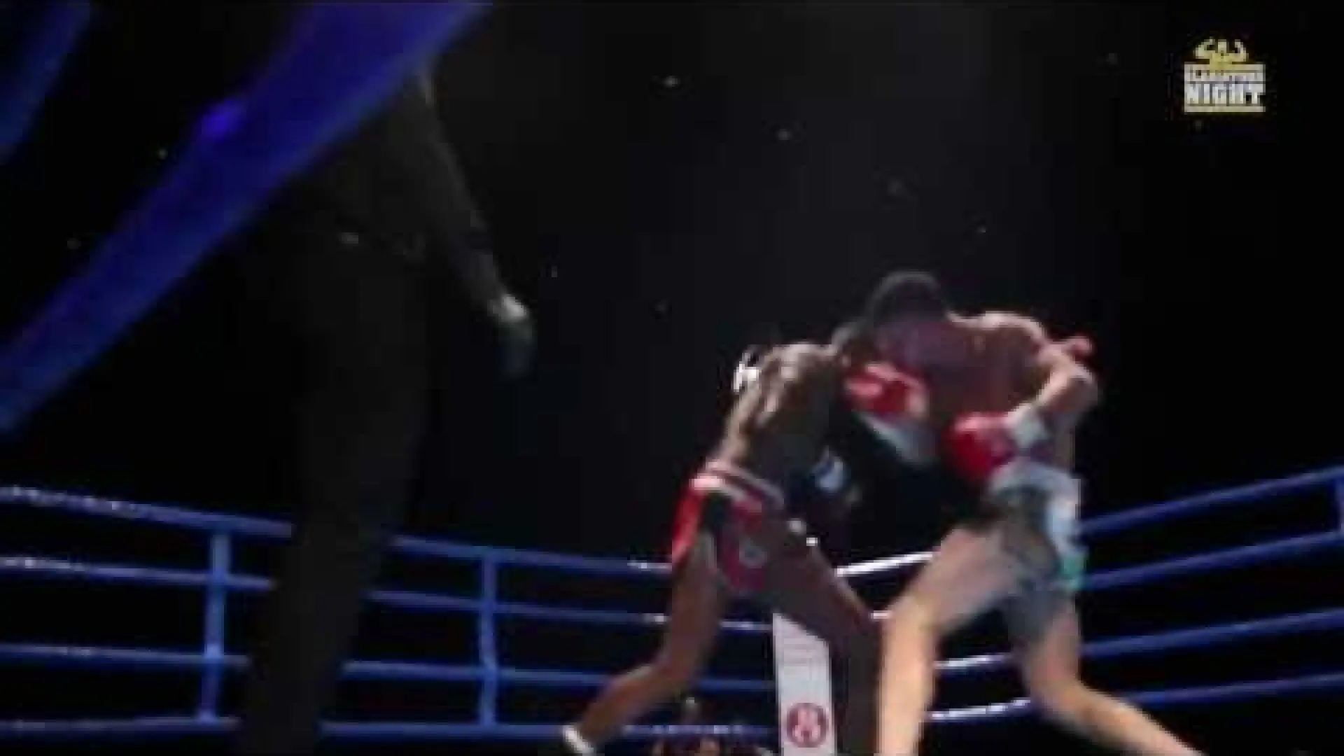 Marco Piqué vs Shkodran Veseli (Fight Video)