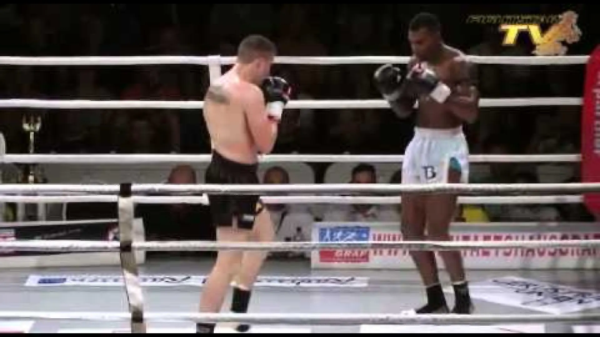 Marco Piqué vs Max Baumert (Fight Video)