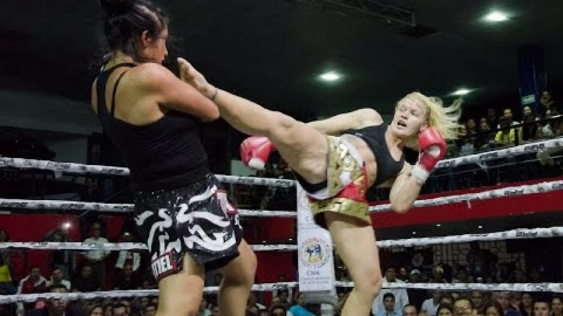 Valentina Shevchenko vs Tania Gonzales (Fight Video)