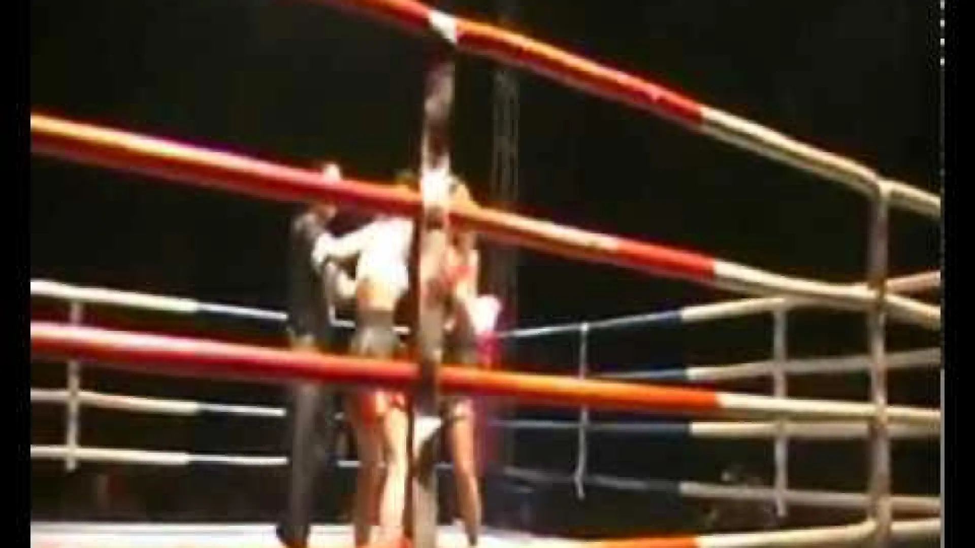 Valentina Shevchenko vs Ning Le (Fight Video)
