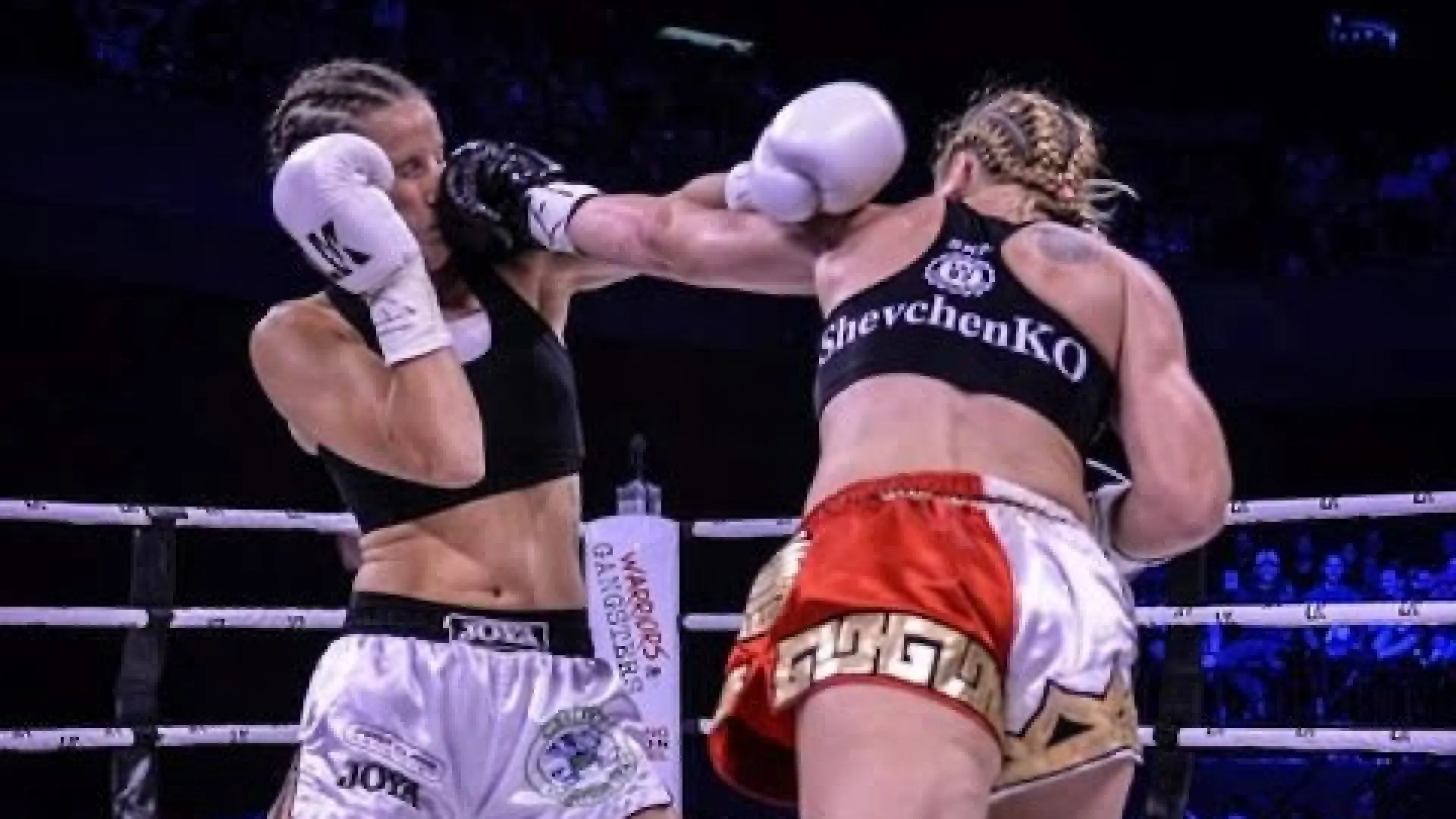 Valentina Shevchenko vs Anke Van Gestel (Fight Video)