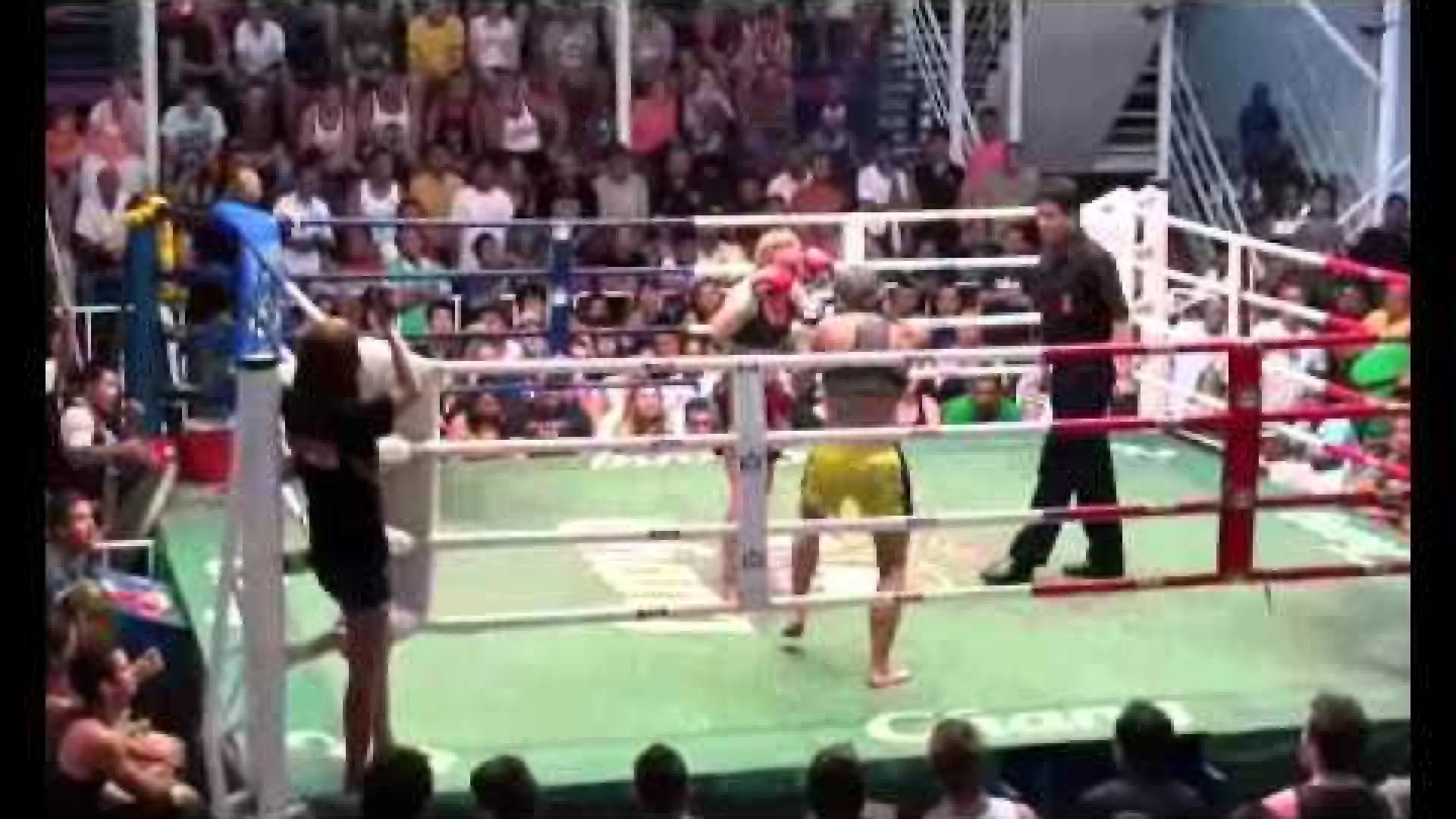 Valentina Shevchenko vs Martina Jindrova (Fight Video)