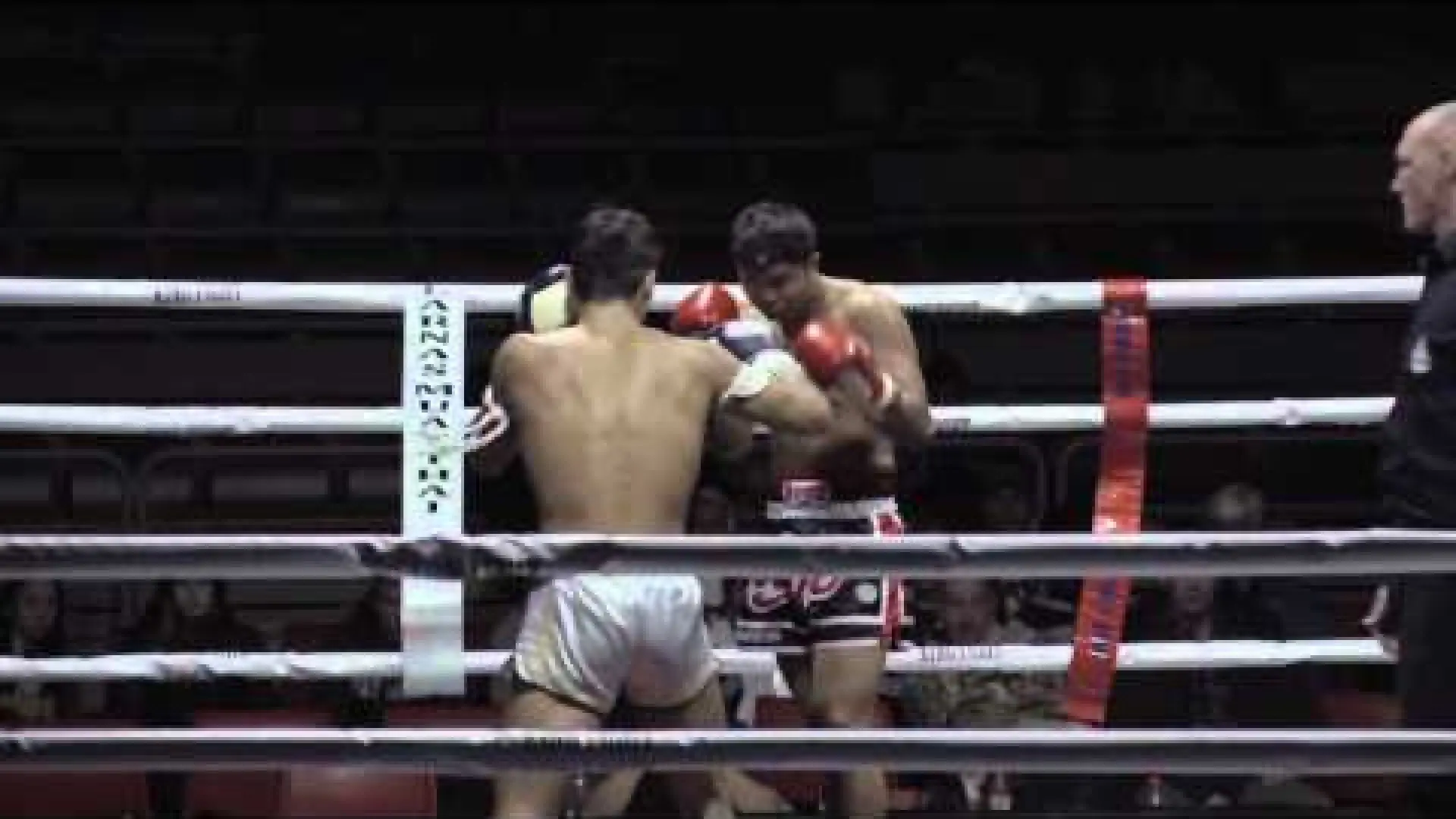 Sanny Dahlbeck vs Tanongdet Siangsimaewgym (Fight Video)