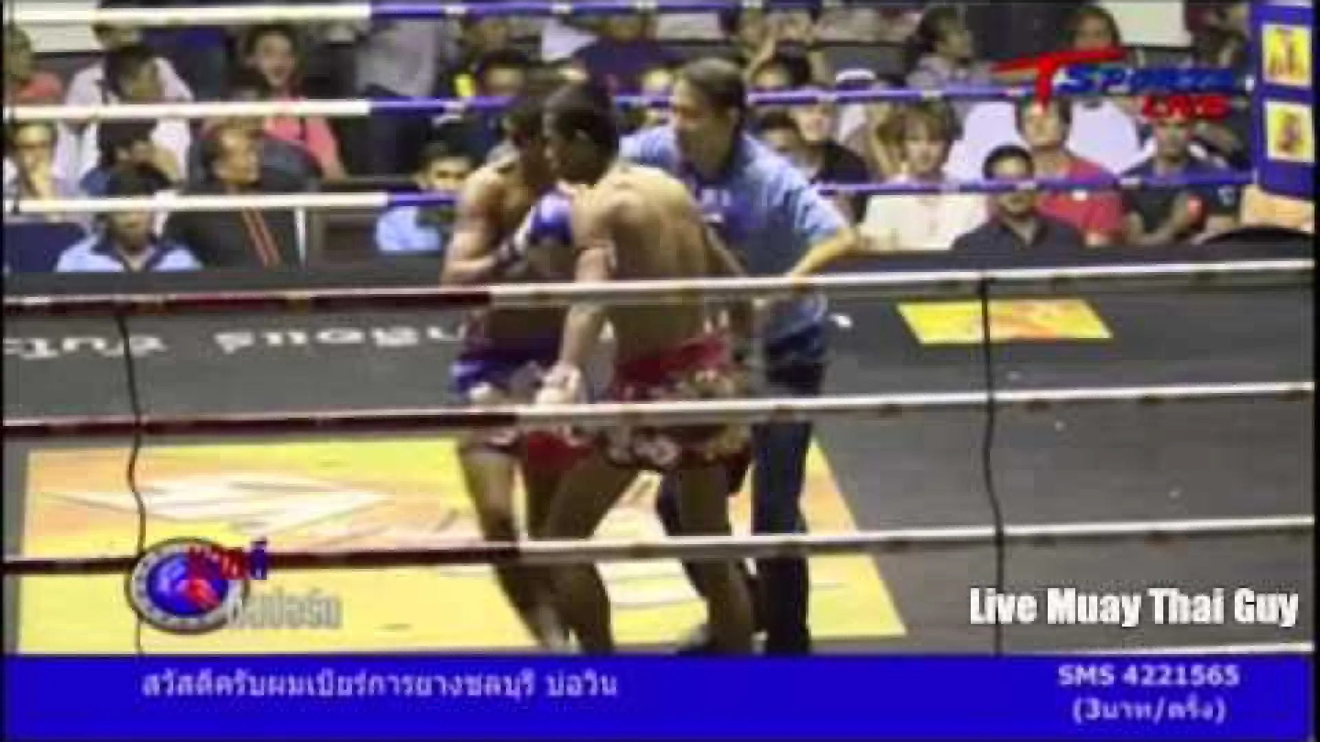 Panpayak Jitmuangnon vs Pet Or Pimonsee (Fight Video)