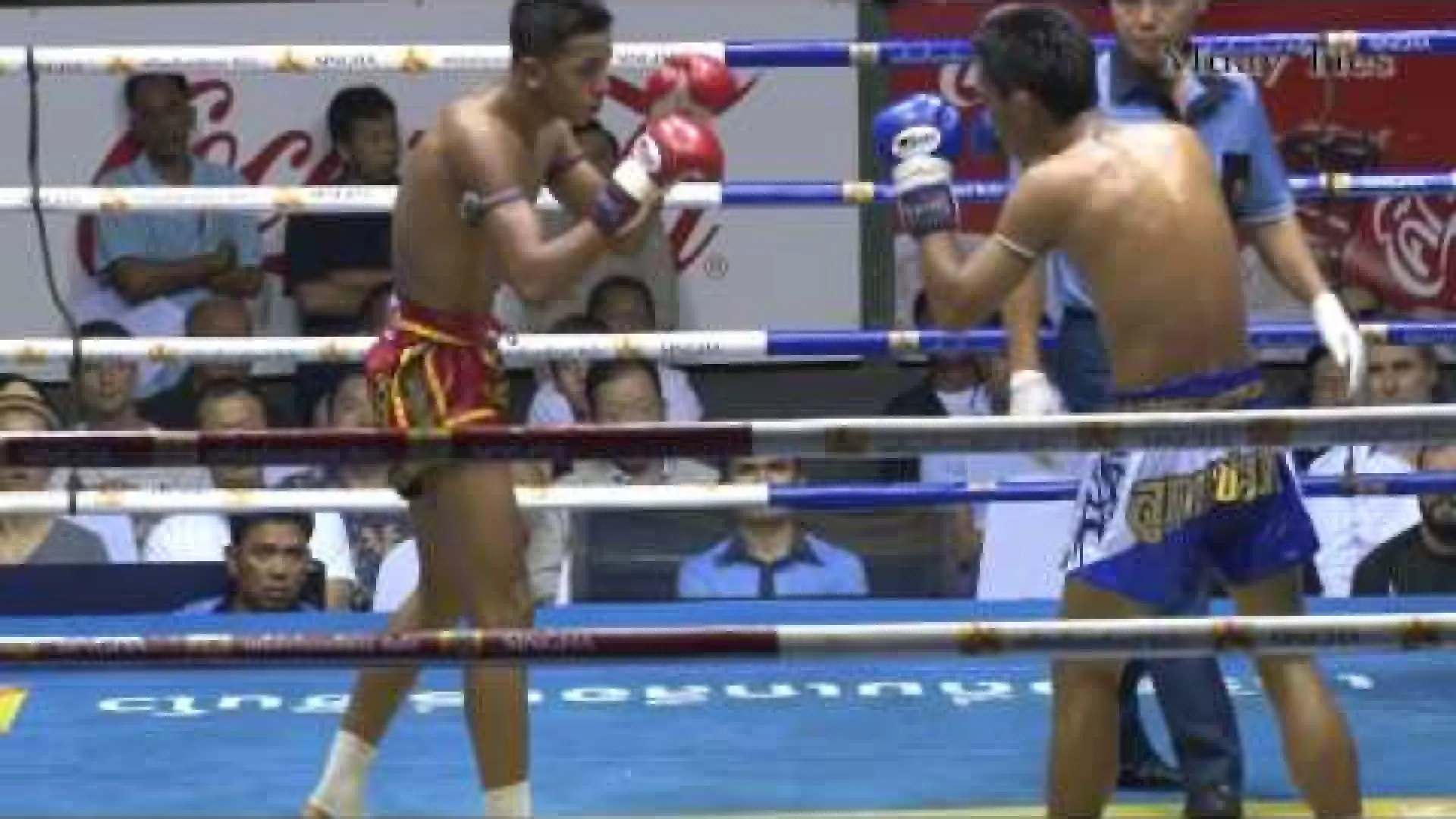 Panpayak Jitmuangnon vs Aikmongkol Gaiyanghadao (Fight Video)