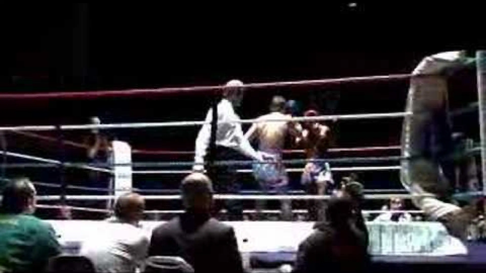 Michael Dicks vs Tim Thomas (Fight Video)